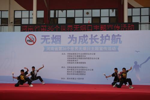 郑州市第五十四中学学校在无烟日主题宣传活动现场进行武术表演